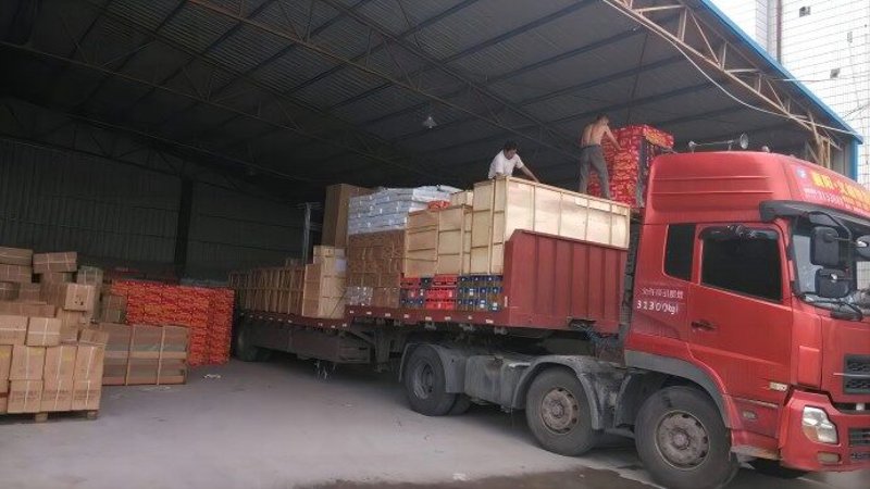 丹东公路港：连接城市与市场的桥梁