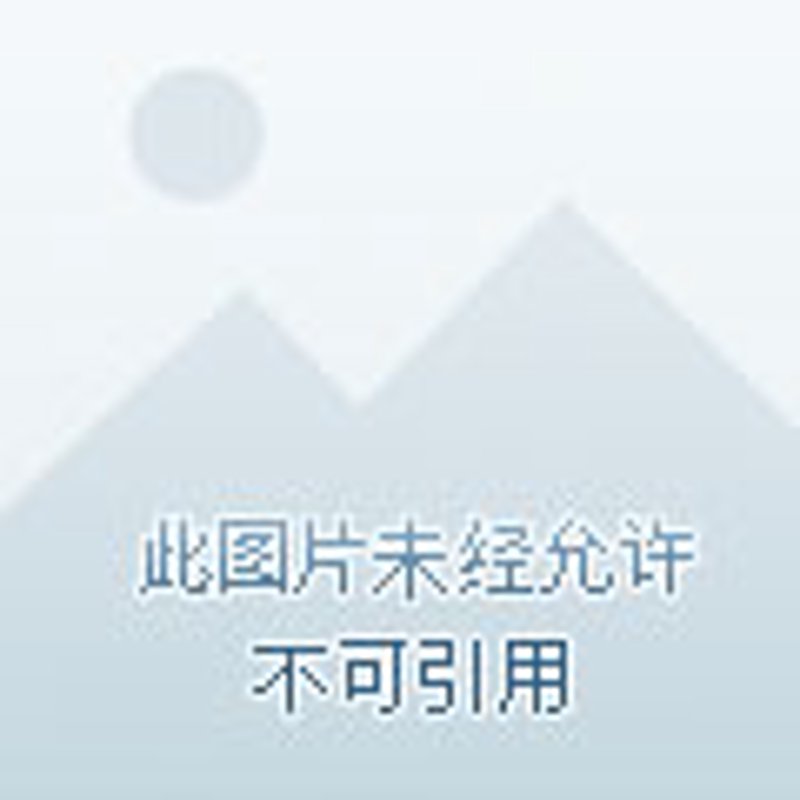 丹东物流公司行业动态分析：服务与市场的新风貌